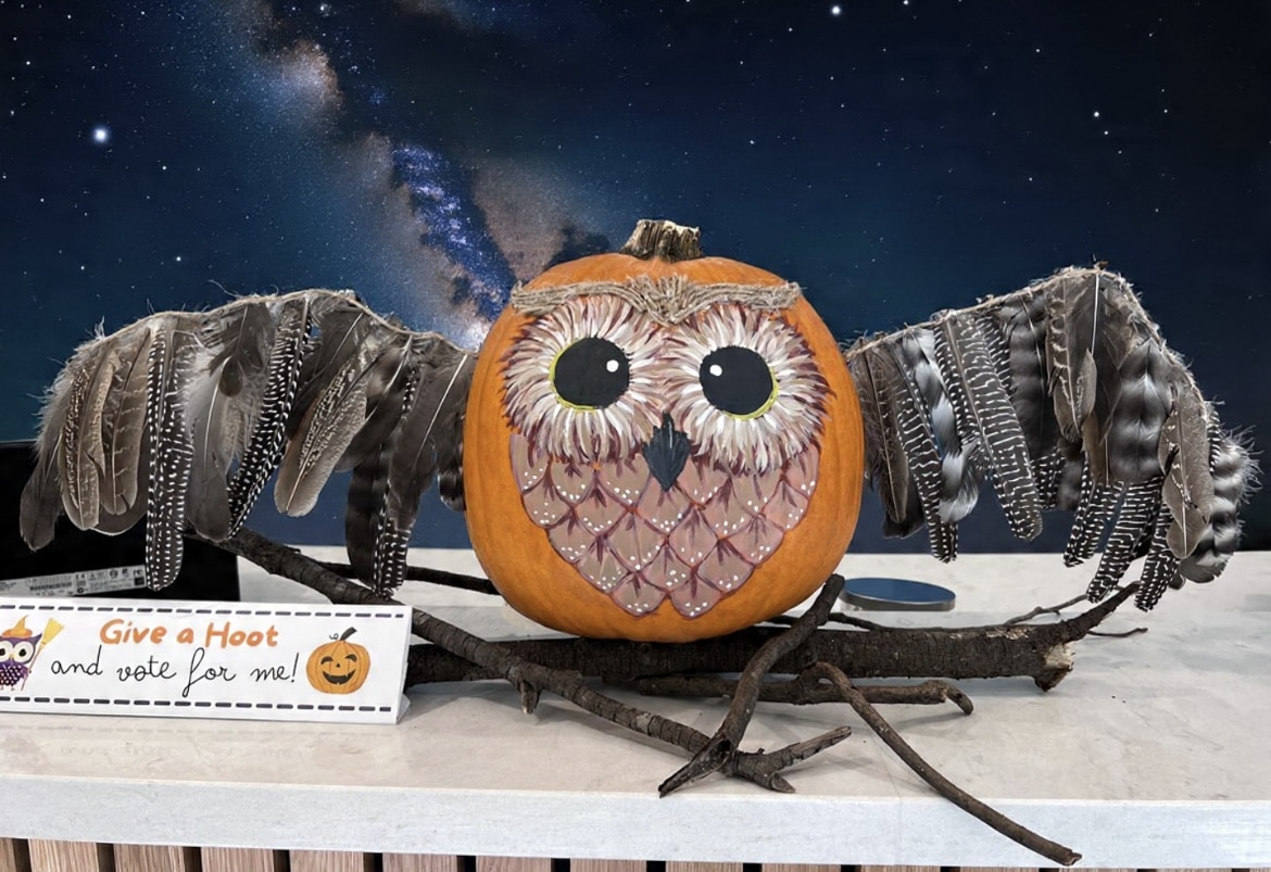 Brookhaven Orthodontics pumpkin submission